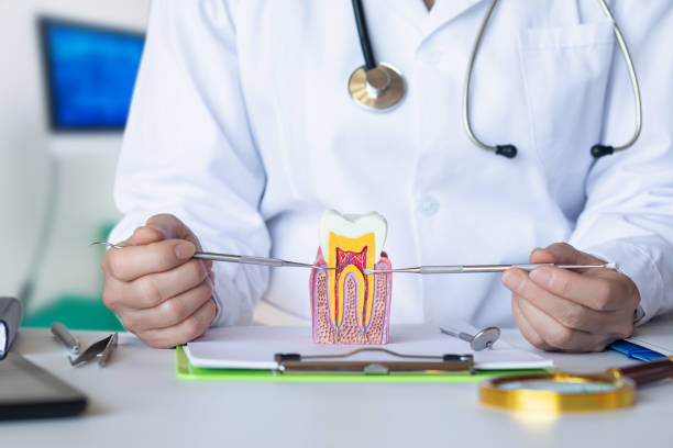 Best Emergency Dentist for Lost Fillings or Crowns in Setauket, NY